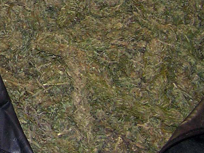 Τους έπιασαν με μεγάλη ποσότητα χασίς