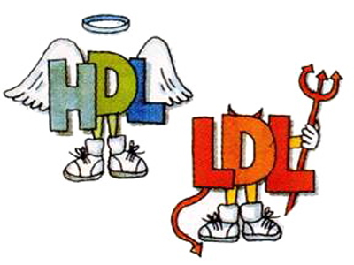 Οι τροφές που πολεμούν τη χοληστερόλη!