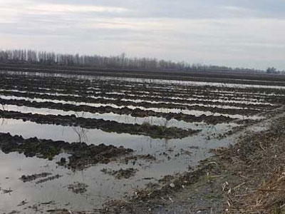 Πλημμύρισαν εκτάσεις στο Βαρθολομιό