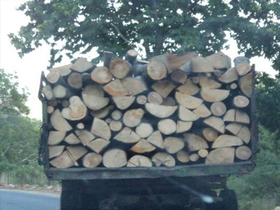 Σύλληψη  για παράνομη μεταφορά ξυλείας στην Κέρκυρα