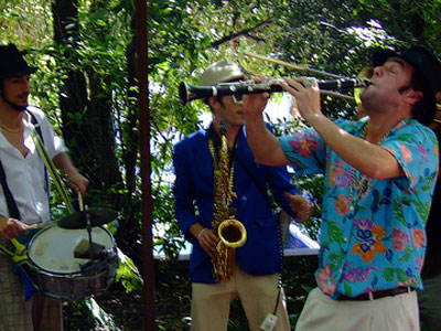 Οι συναυλίες της αναδάσωσης