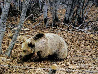 Πεθαίνοντας στη Μεσόγειο