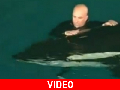 Φάλαινα επιτέθηκε στον εκπαιδευτή της