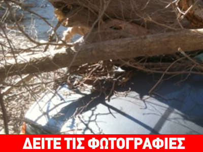 Ζημιές σε οχήματα από πτώση δένδρου στη Καλαμαριά