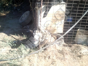 Φυλακισμένα σκυλιά στα Χανιά