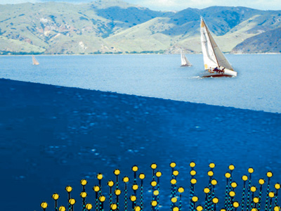 Το πείραμα «Nestor» στη Πύλο Το πείραμα «Nestor» στη Πύλο