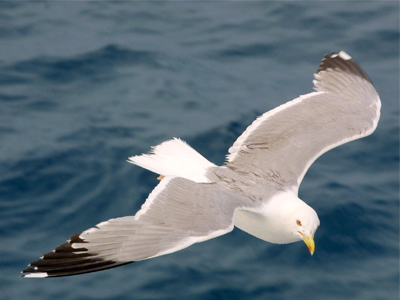 Η πολιτική σταθερότητα «φέρνει» τουρισμό