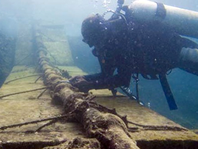 Εγκληματική αδιαφορία της ΔΕΗ