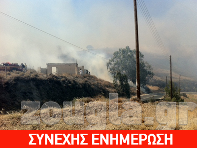 Πύρινος εφιάλτης στην Κερατέα – Εκκενώθηκε κατασκήνωση