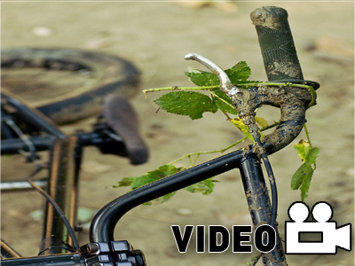 Η διάσπαση… του ΒΜΧ