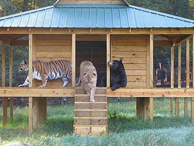 Μια φιλία που ξεπερνά όλα τα εμπόδια