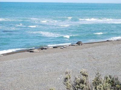 Τελευταίο μπάνιο για 58χρονο