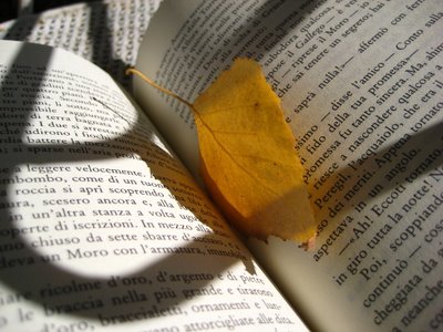 «ΚύΚΛΟΣ στο ΚέΝΤΡΟ»