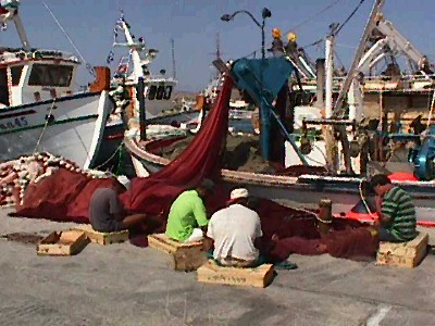 Σπουδαία έκθεση του Δ. Σιφναίου στη Νάουσα της Πάρου